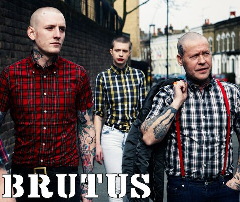 CAMISAS BRUTUS